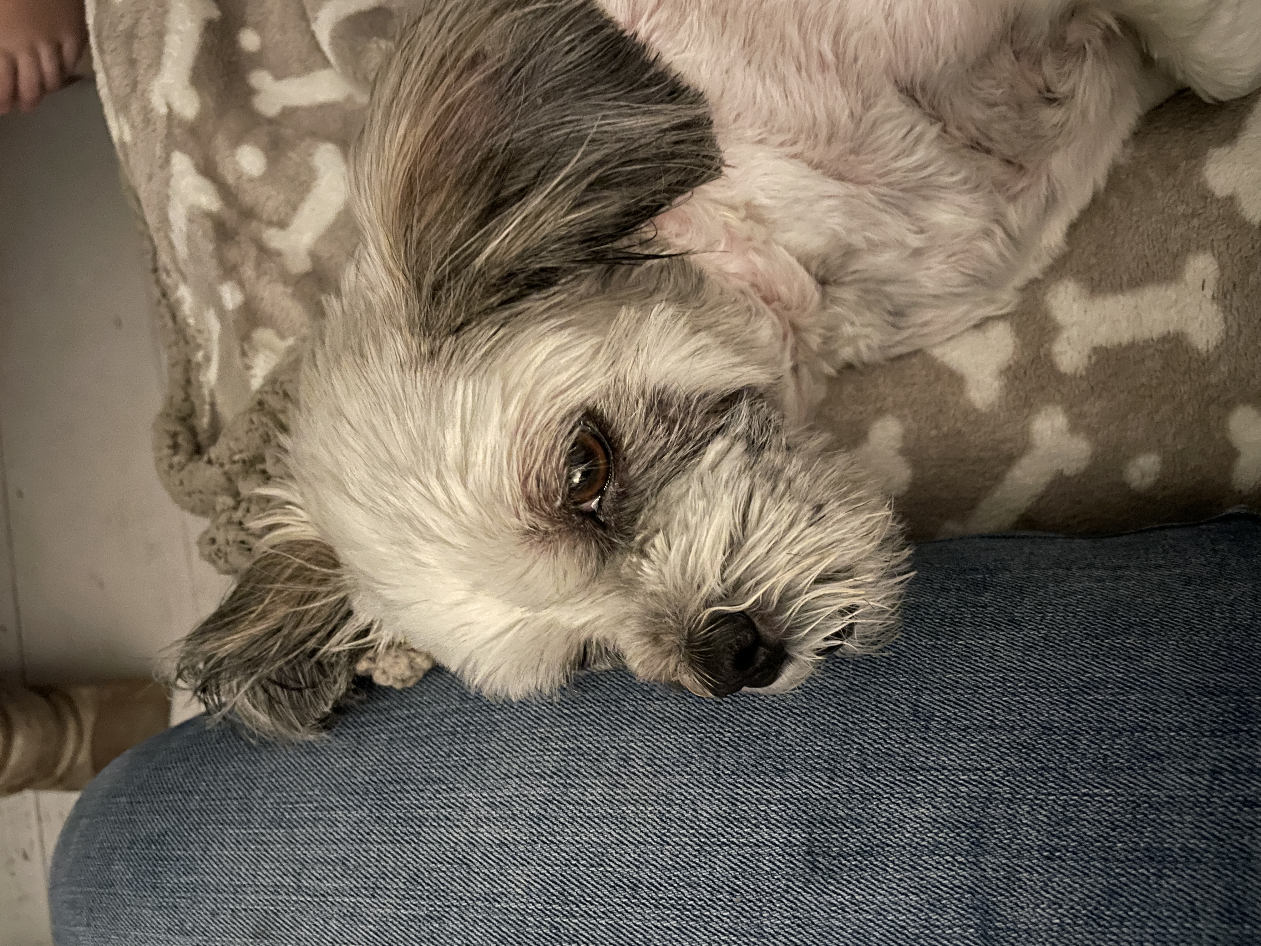 Chloe